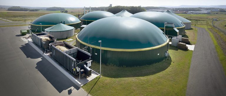Биогазовые станции для решения проблемы переработки отходов птицефабрик