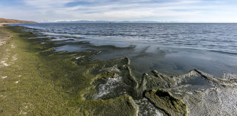 Вода в озере Байкал стала токсичной и опасной