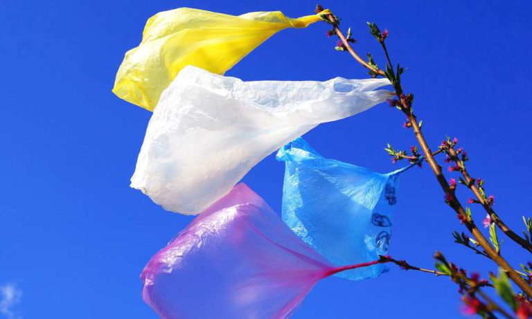 Пластиковые пакеты могут запретить в России