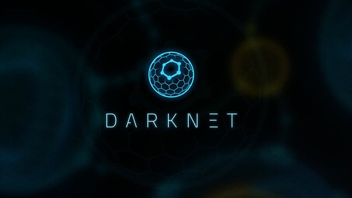 The darknet markets