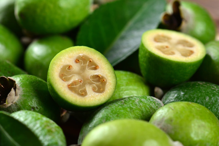 Feijoa: manfaat buah beri subtropis