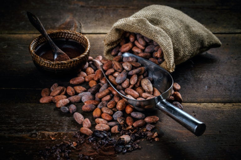 Cocoa – a healthy and tasty miracle of nature