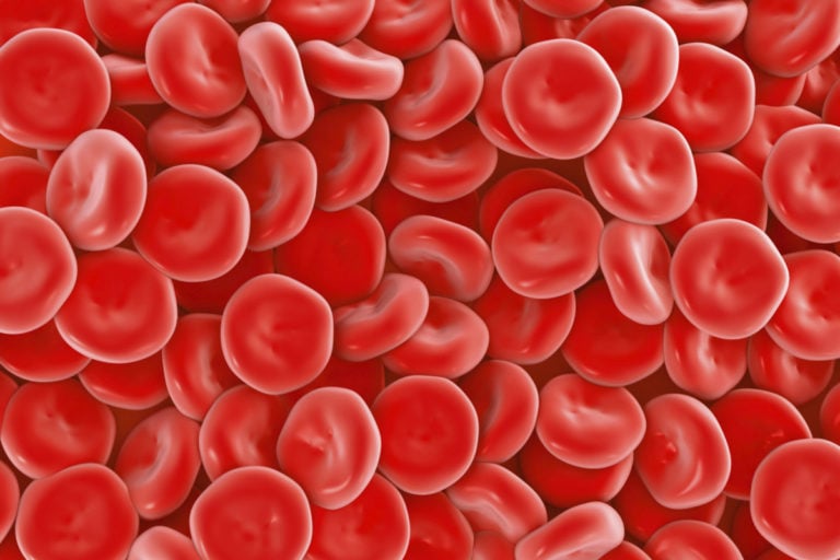 Hemoglobina en el cuerpo humano
