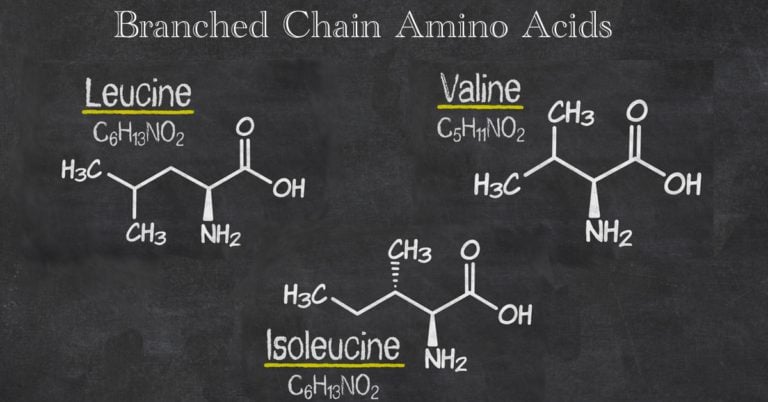 BCAA – aminoácidos de cadena ramificada