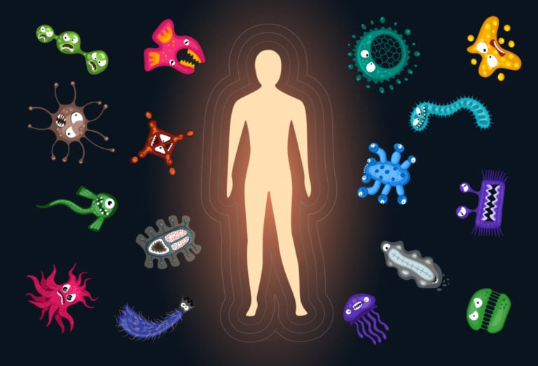 The immune system is a unique mechanism that allows a person to survive