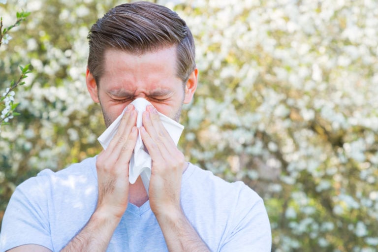 Alergia – hipersensibilidad del sistema inmunológico