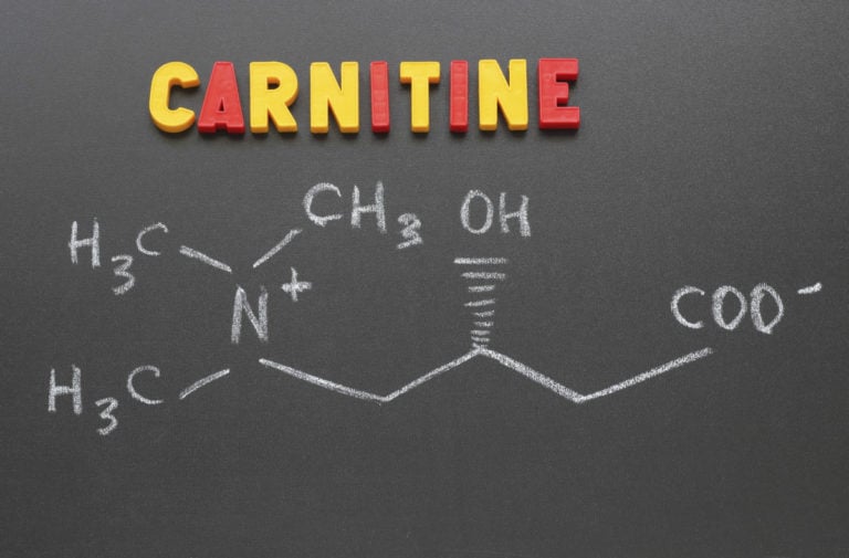 A carnitina é uma substância natural relacionada com as vitaminas do complexo B